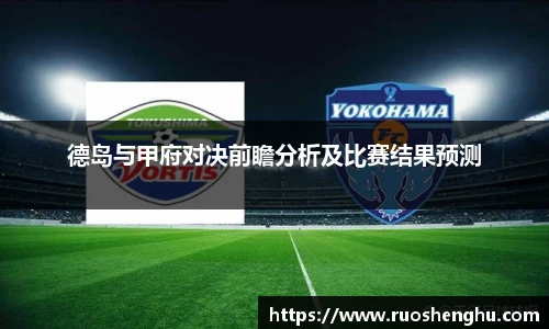 德岛与甲府对决前瞻分析及比赛结果预测